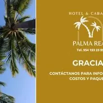 Palma Real - Foto
